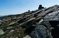 Engerdalen Elgspiggen omr&aring;de