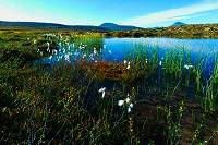 Oeschinensee Sch&ouml;nste Bilder