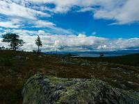 Engerdalen Elgspiggen omr&aring;de