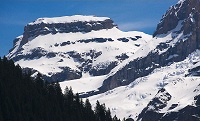 Wildi Frau